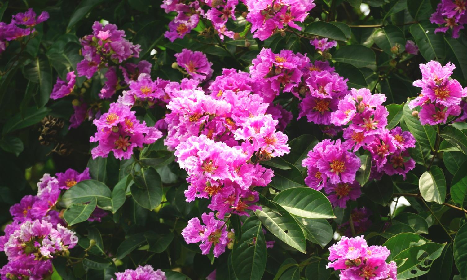 Fresh floral arrangement being prepared at event location